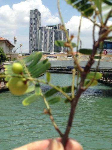 Apartamento Relax & Chill At Malacca River