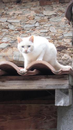 Bed & Breakfast Les Planquettes