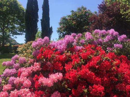 Bed & Breakfast Chambres D'h�tes Le Bas Rassinoux
