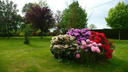 Bed & Breakfast Chambres D'h�tes Le Bas Rassinoux