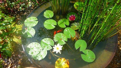 Bed & Breakfast Chambres D'h�tes Le Bas Rassinoux