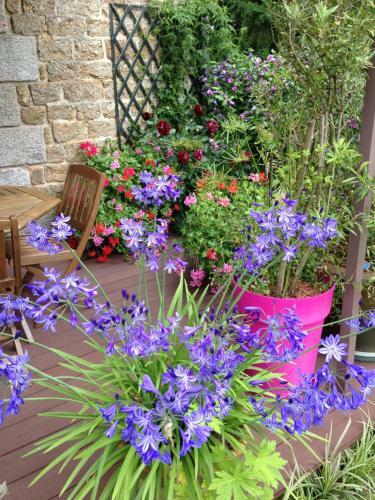 Bed & Breakfast Chambres D'h�tes Le Bas Rassinoux