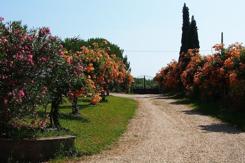 Bed & Breakfast Domaine De Millox
