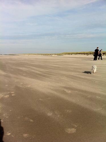 B&B "de Overnachting"
