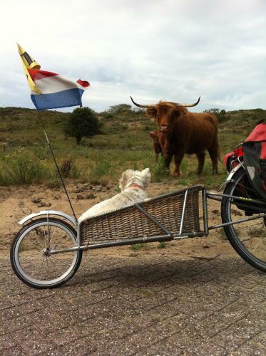 B&B "de Overnachting"