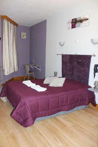 Hotel H�tel Des Alli�s