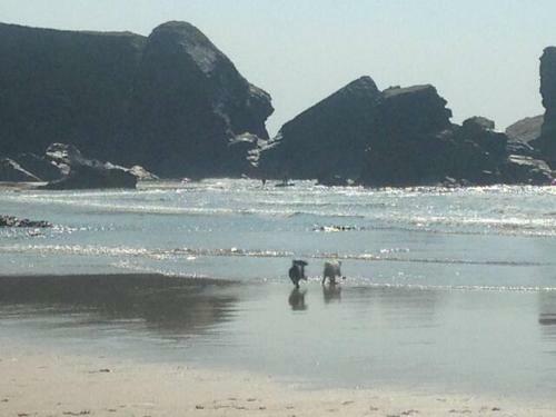 Apartamento The Beach Style Annexe... Dog Friendly!