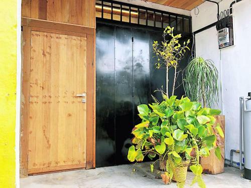 Villa Rimba Jonker, Melaka Heritage Residance