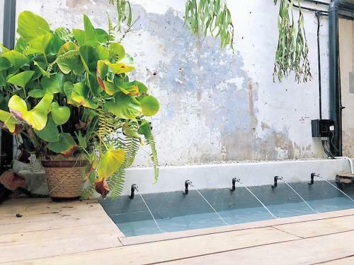 Villa Rimba Jonker, Melaka Heritage Residance