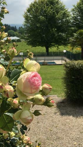 Hotel Relais Du Limousin