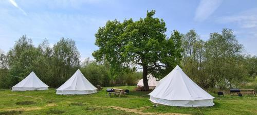 Personal Pitch Tent 6 Persons Glamping 27