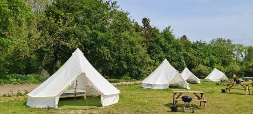 Personal Pitch Tent 6 Persons Glamping 27