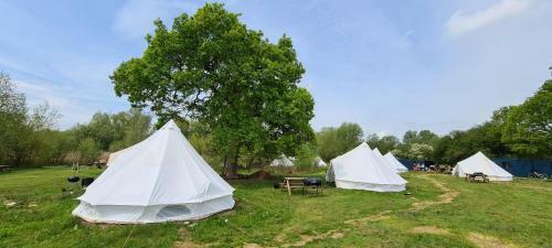 5 Meter Bell Tent - Up To 5 Persons Glamping 2