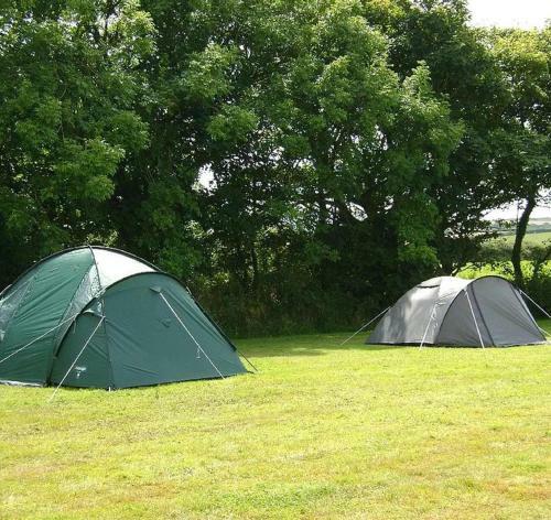 Personal Pitch Tent 6 Persons Glamping 24
