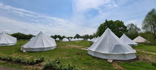 Personal Pitch Tent 6 Persons Glamping 12