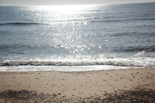 Romantic Flint Cottage On The Suffolk Coast