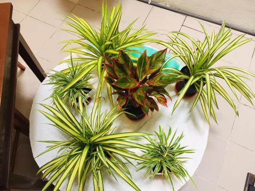 Hostal Travellers Diary Guesthouse