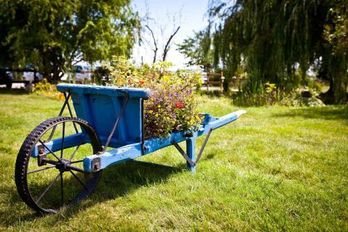 Hostal Domaine De B�lair