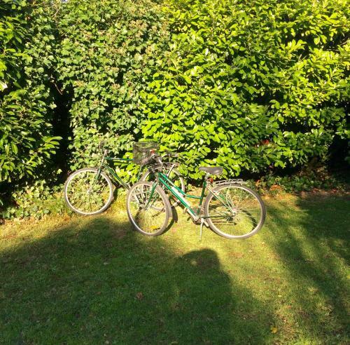 Bed & Breakfast Les Bouvreuils