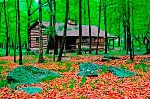 Cacapon State Park Lodge