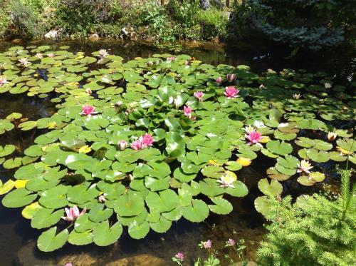 Bed & Breakfast D'un Jour � L'autre