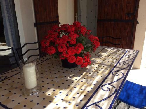 Bed & Breakfast Saba