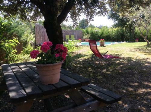 Bed & Breakfast Saba