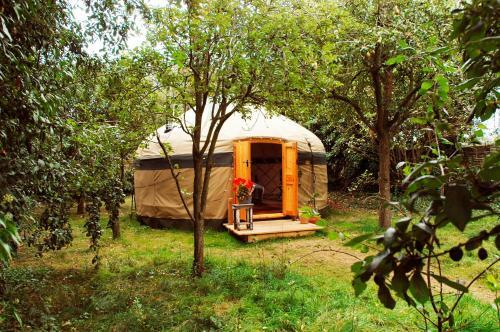 Stamford Meadows Glamping