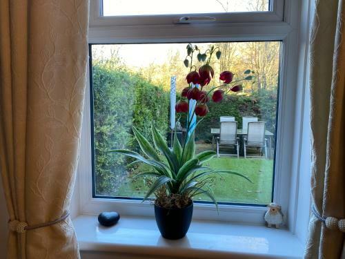 Apartamento Sheepfoote Hill Yarm - Shared House
