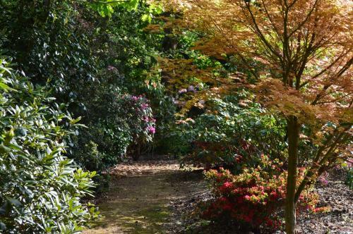 Apartamento Pinecroft Barn - Relax & Unwind!