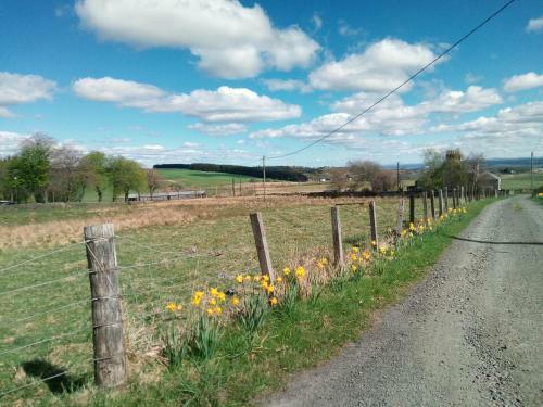 Apartamento Buckieburn - Self-catering - Rural