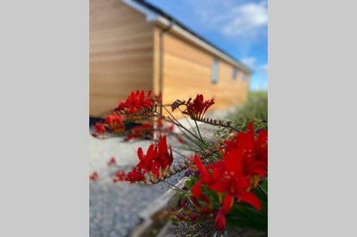 The Gallafield, Self Catering Bungalow , Stornoway