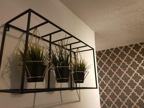 Apartamento Quantock Lodge Studio 2