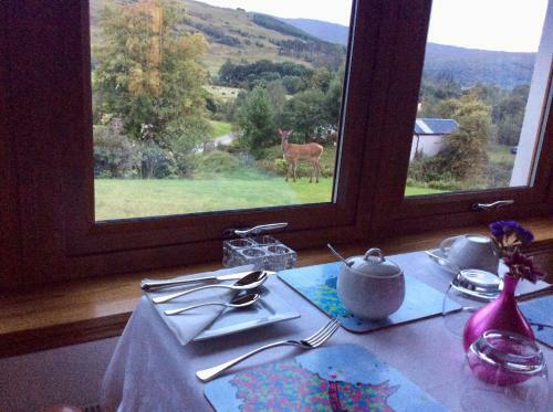 Bed & Breakfast Uircheann Righ