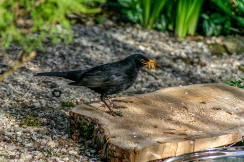 Bed & Breakfast Uircheann Righ