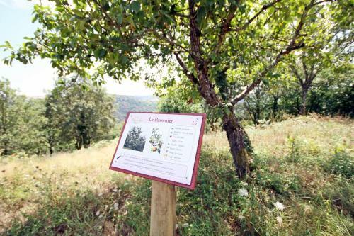Camping Domaine Vall�e Du Tarn