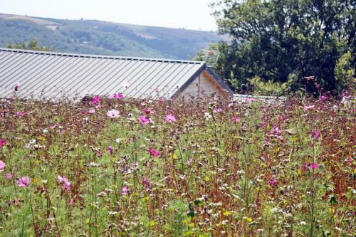 Camping Domaine Vall�e Du Tarn
