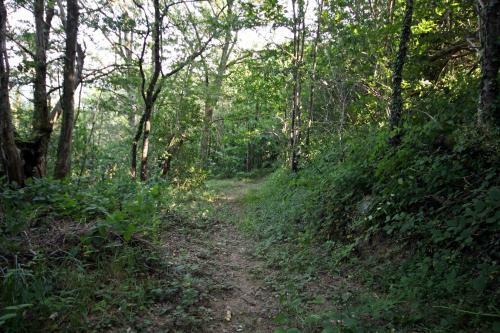 Camping Domaine Vall�e Du Tarn