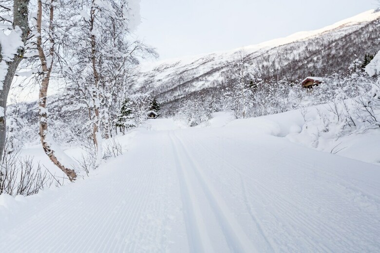 Lodge Stranda Booking