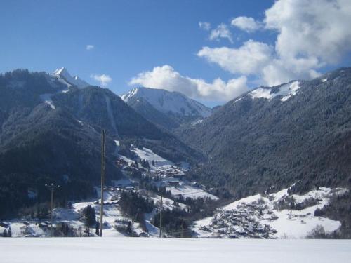 La Gentiane 2