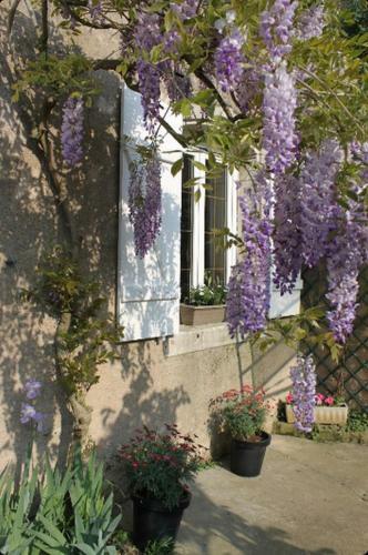 Bed & Breakfast Chambres D'h�tes Le Manoir