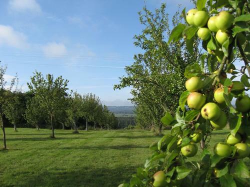 Bed & Breakfast Le Mont D'auge