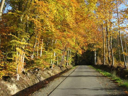 Bed & Breakfast Le Mont D'auge