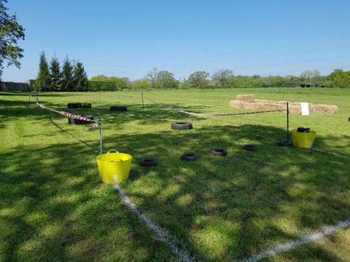 Roe Deer Fields