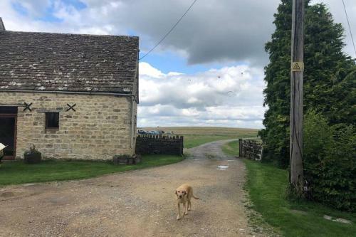 The Barn, Boundary Court