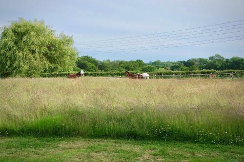 Hazelhurst Farm