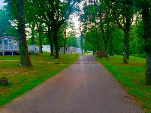 Forest Beach Bashley Park