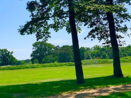 Forest Beach Bashley Park