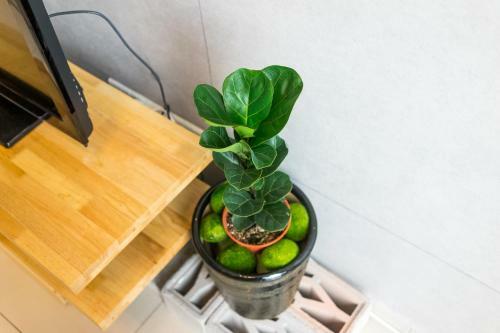 Apartamento Homey Home