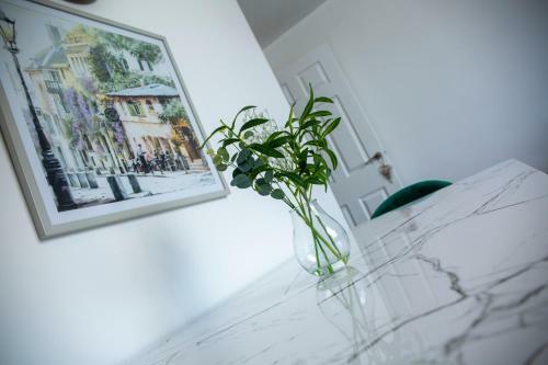 Modern Townhouse Apartment With Free Wifi & Netflix